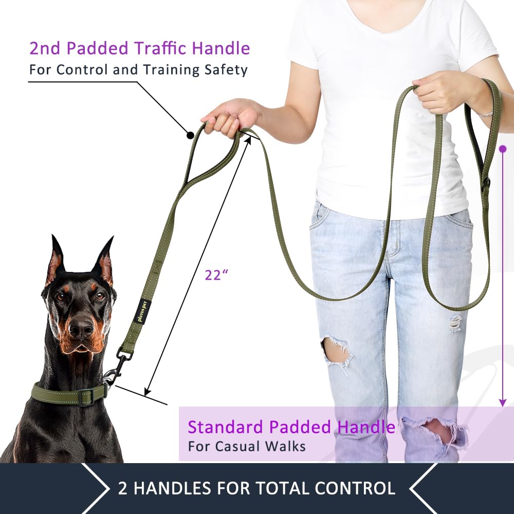 PLUTUS PET Leash in 4 FT, Ranger Green