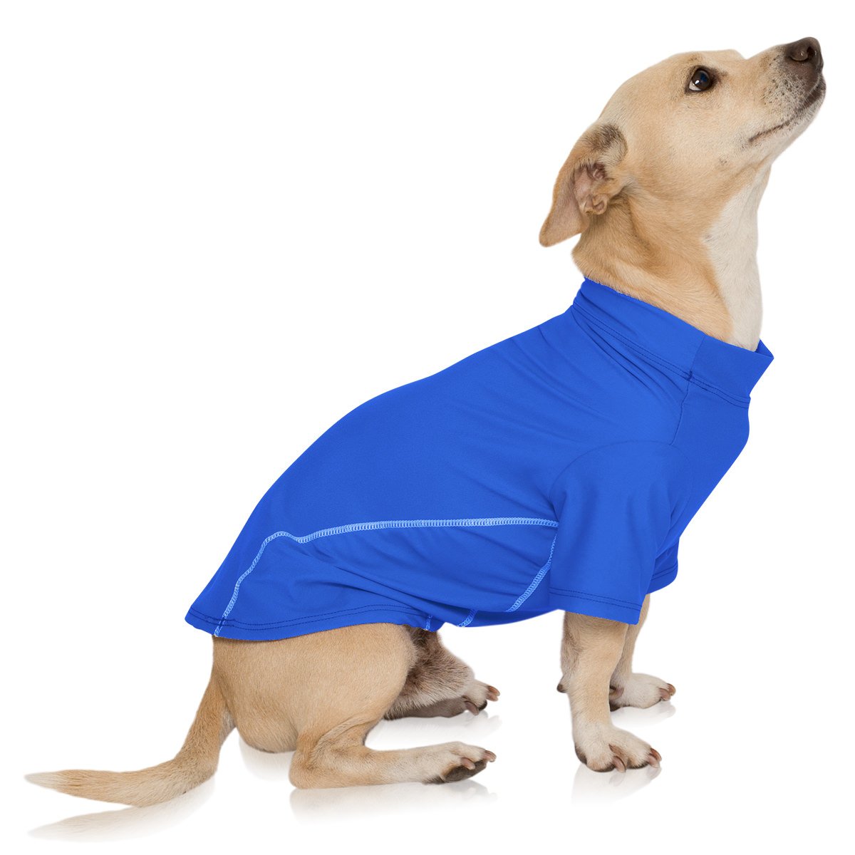 PlayaPup Pet Apparel in X-Small, Blue