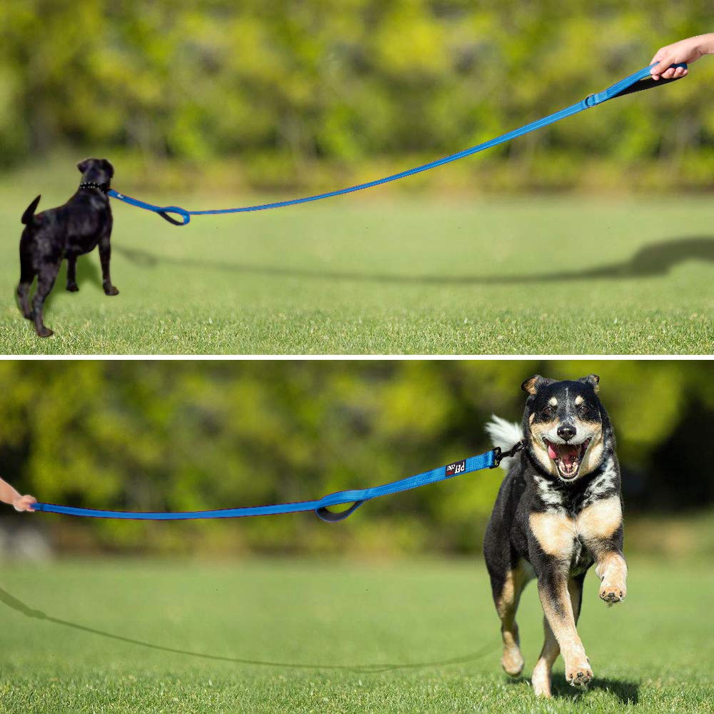PLUTUS PET Leash in 4 FT, Blue