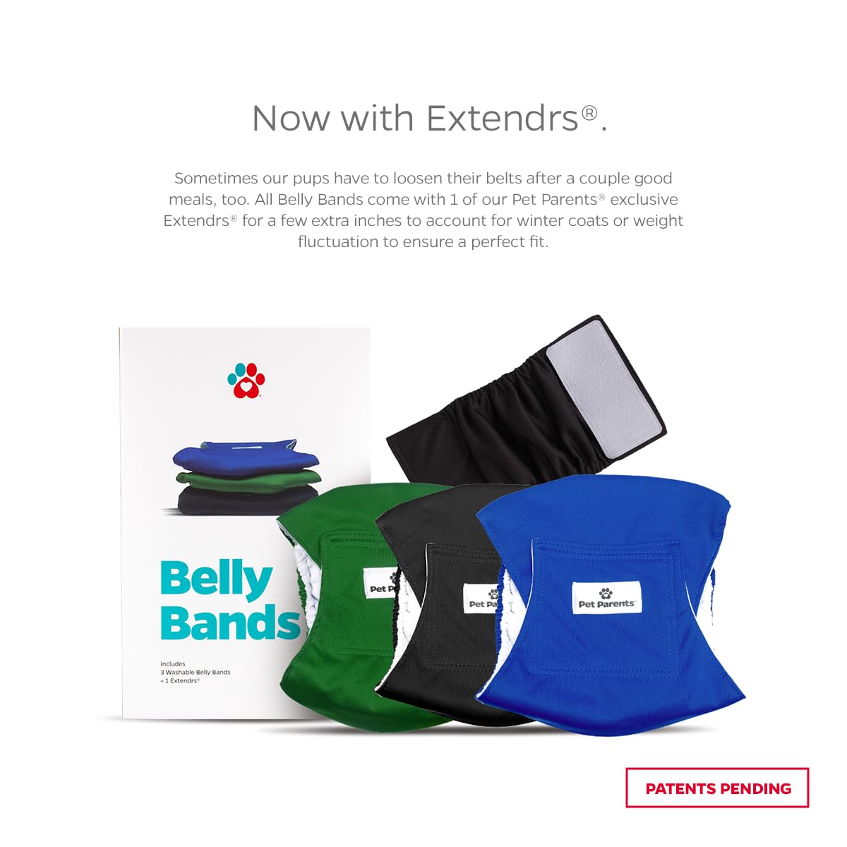 Pet Parents Animal Incontinence Protector in X-Small (11-13"), Gentlemen