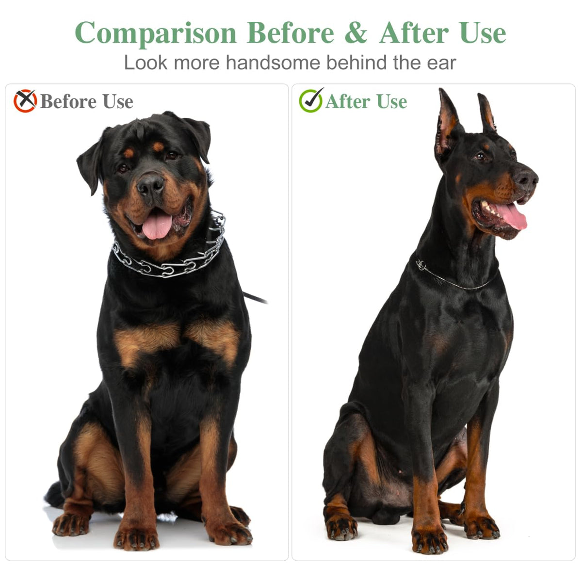 Milisten Pet Supplies in 14.00X8.00X7.00CM, Multi-colored