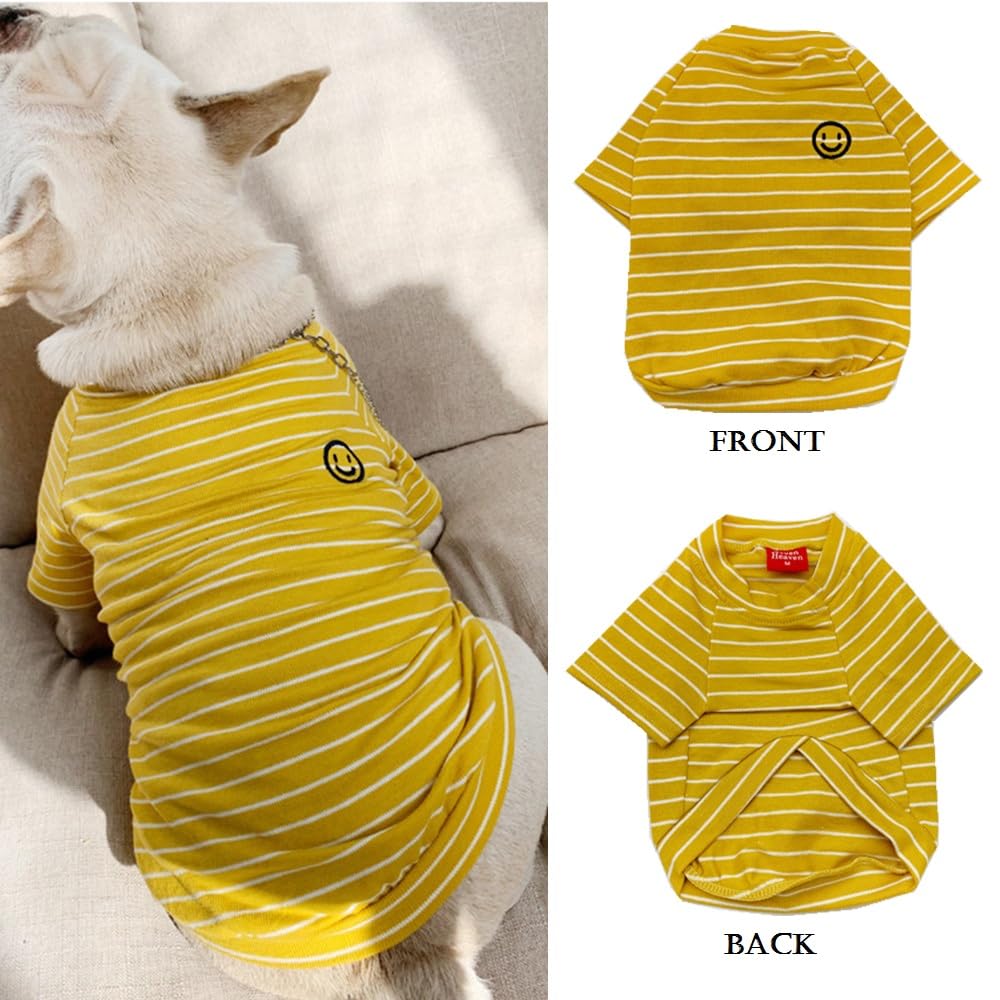 Wiz BBQT Pet Apparel in Pet 3XL - Chest 22.8", Yellow