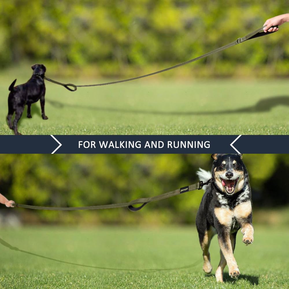 PLUTUS PET Leash in 4 FT, Ranger Green