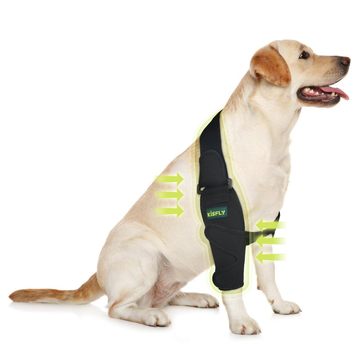 KISFLY Pet Supplies in S, Black