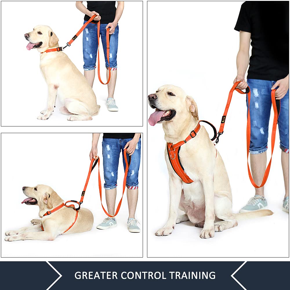 PLUTUS PET Leash in 4 FT, Orange