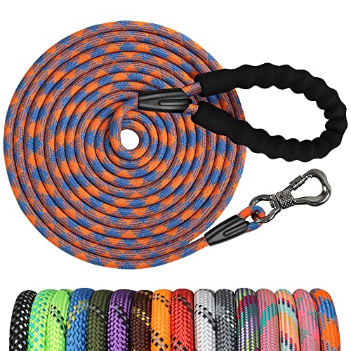 NTR Leash in 20ft*1/3", Orange/Blue