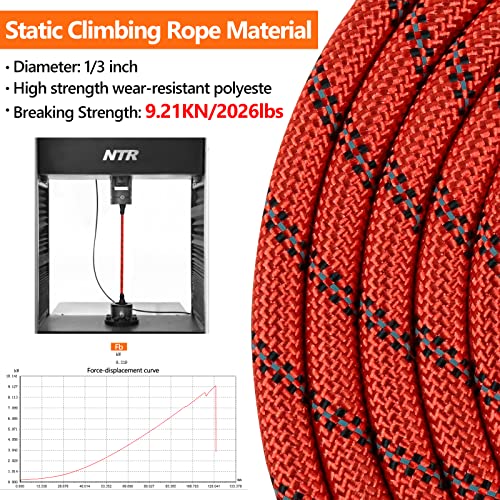 NTR Leash in 15ft*1/3", Red