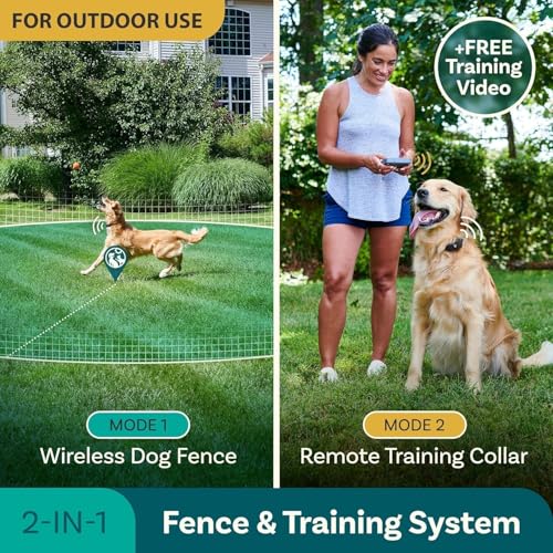 PetCove Animal Collar in 2 Collar Gray & Teal, Gray & Teal