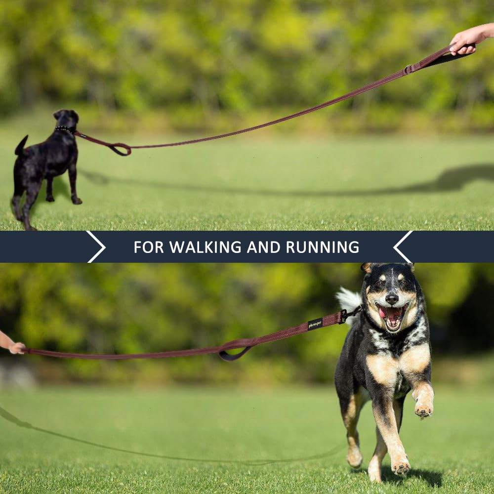 PLUTUS PET Leash in 4 FT, Chocolate
