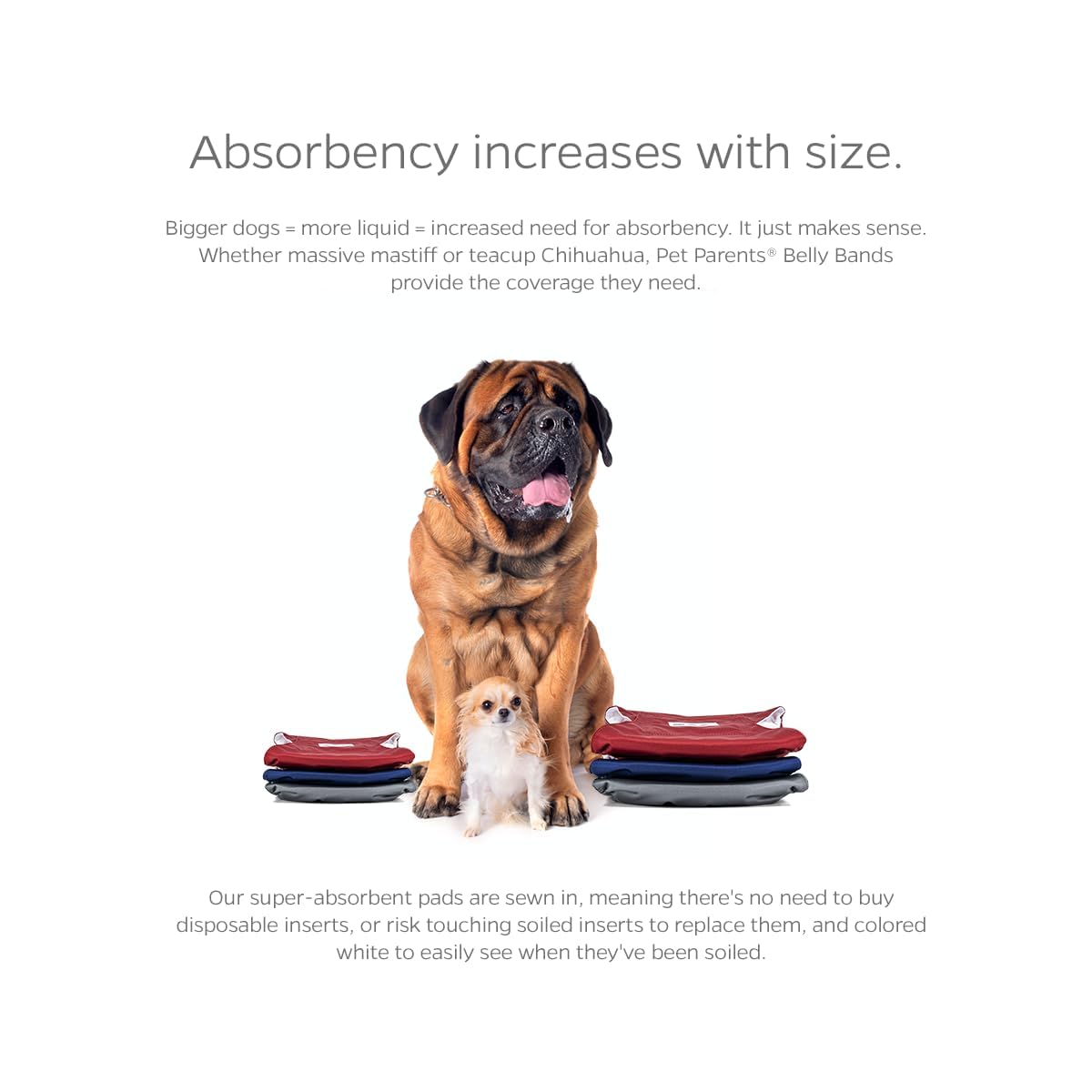 Pet Parents Animal Incontinence Protector in X-Small (11-13"), Kingsmen