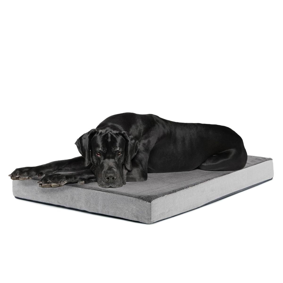 BarkBox Pet Bed Mat in XX-Large, Grey