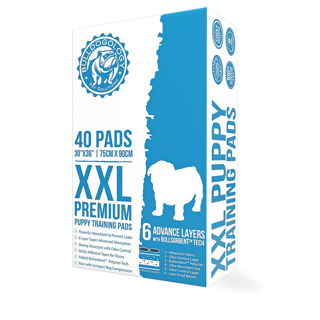 Bulldogology Pet Solutions Disposable Incontinence Surface Protector in 40-Count (30x36), White