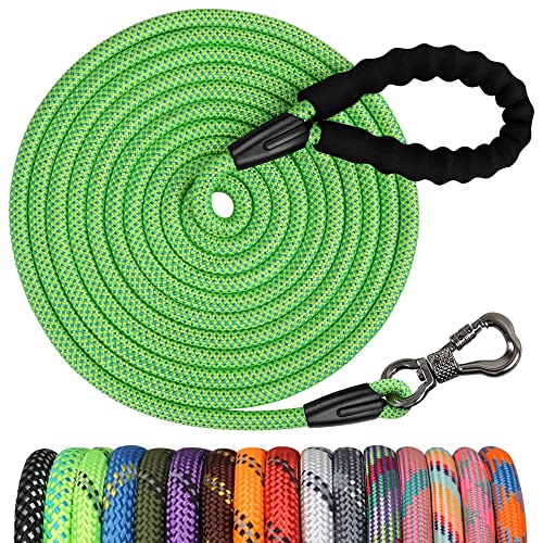 NTR Leash in 15ft*3/8", Green/Blue