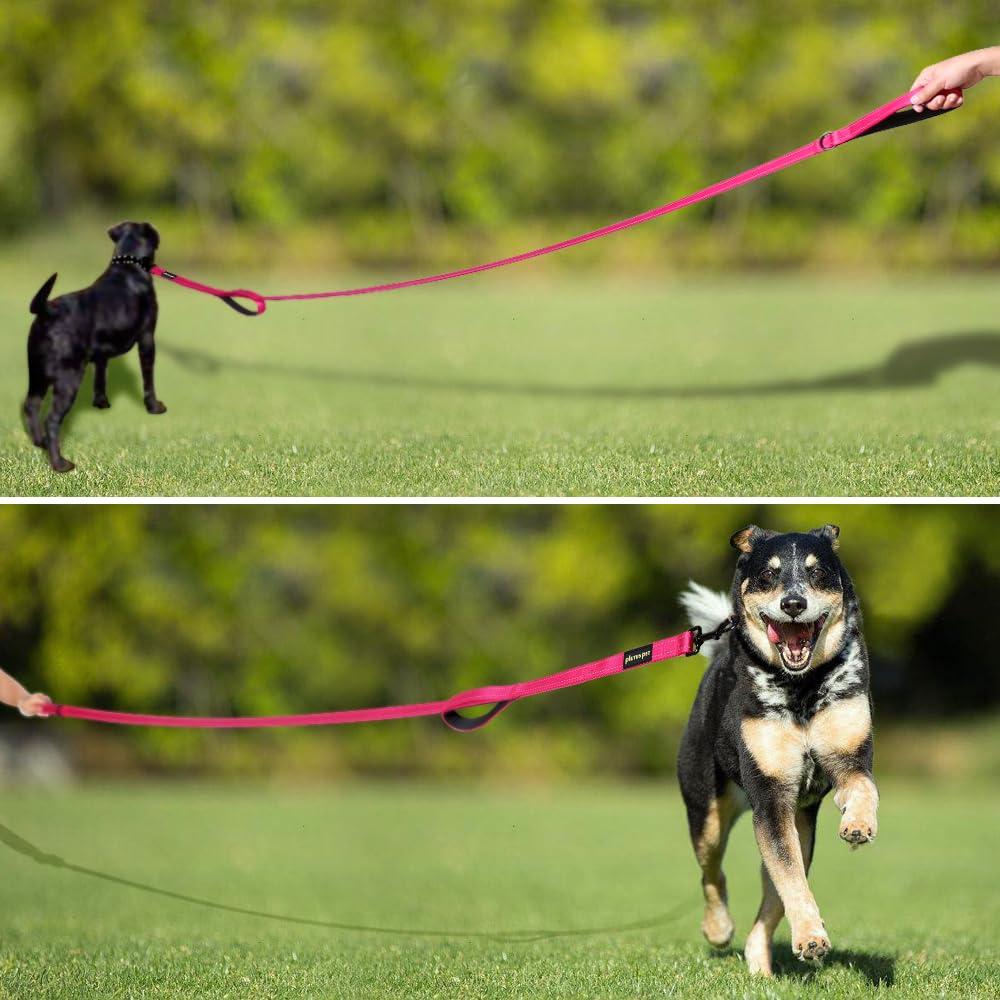 PLUTUS PET Leash in 6 FT, Pink