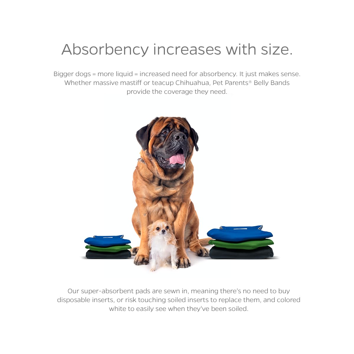 Pet Parents Animal Incontinence Protector in X-Small (11-13"), Gentlemen