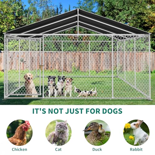 DWVO Animal Cage in 14.7' x 14.7', Silver
