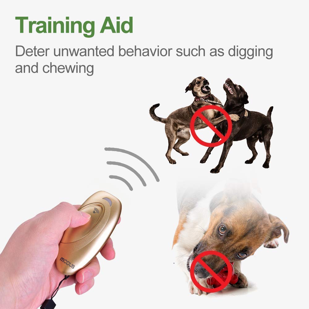 MODUS Pet Supplies in Gold Barks No More Dog Training Tool