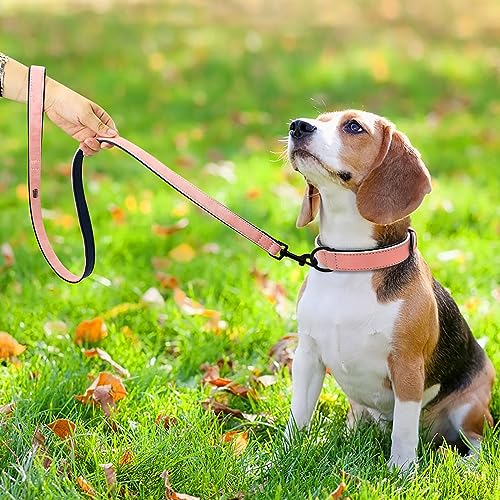 Didog Animal Collar in M: Fit Neck 11-14"(10-20 lbs), Pink Set