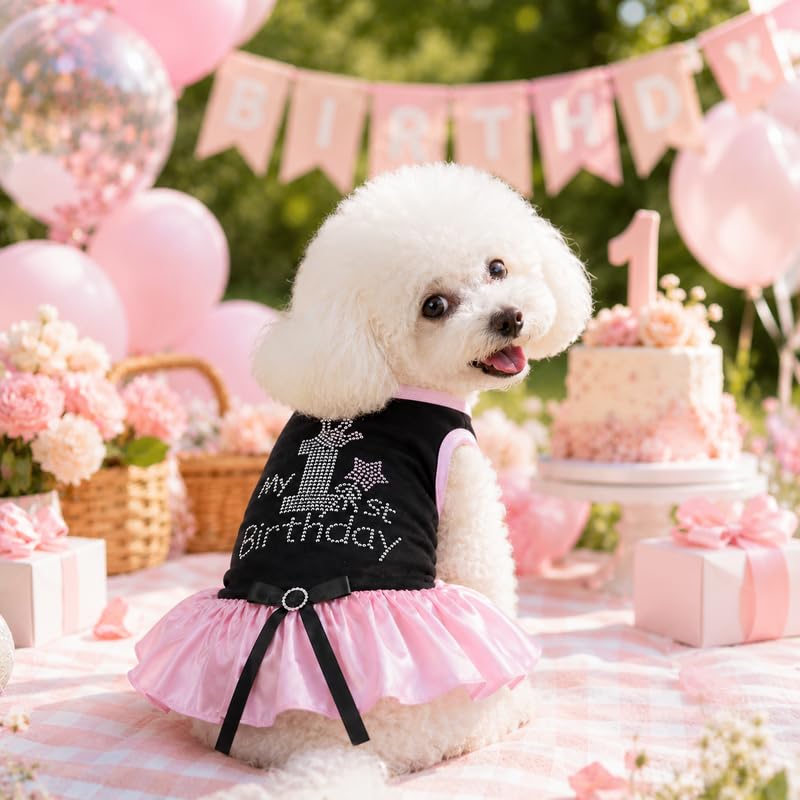 Petitebella Pet Apparel in X-Small, Black/Pink