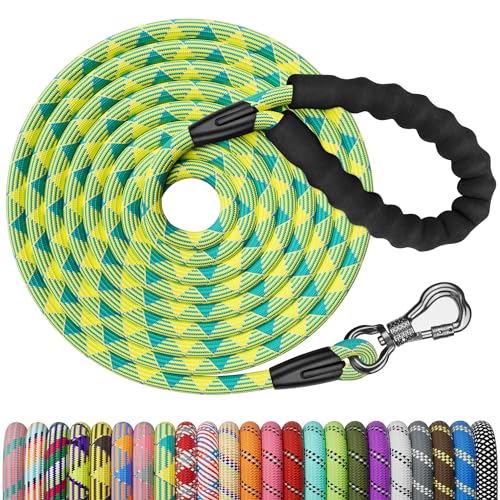 NTR Leash in 15ft*1/3", Teal/Yellow