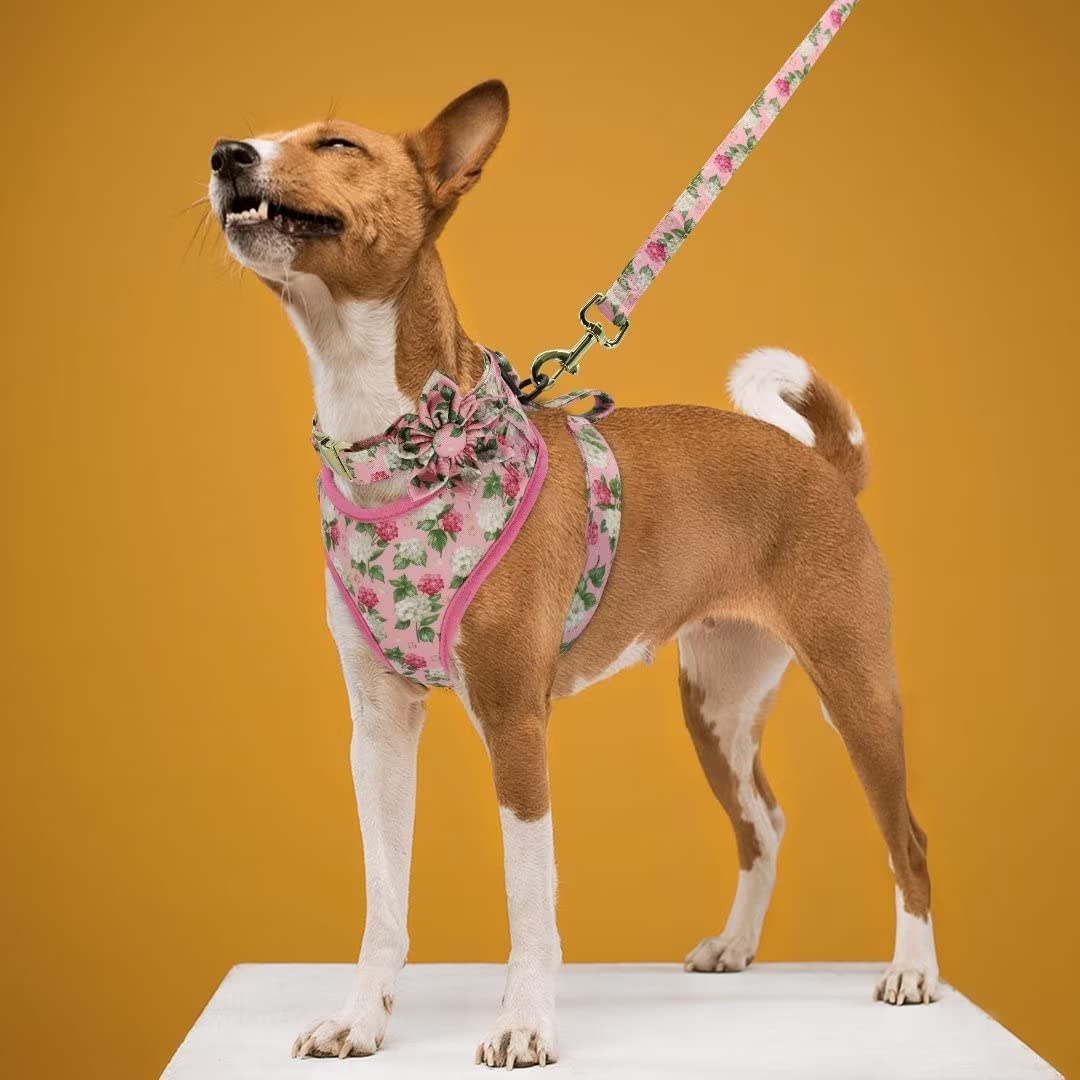 Beirui Animal Harness in XS:Fit 6-12 lbs, Pink-1