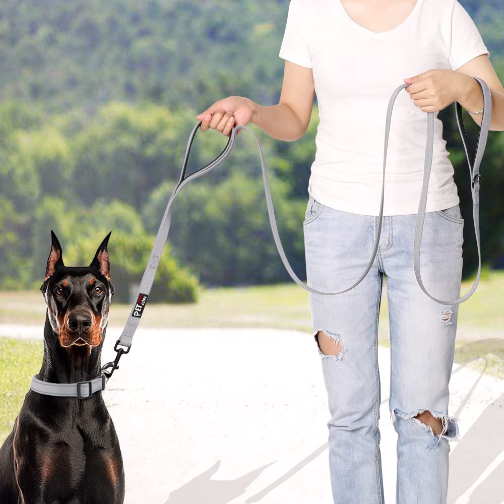 PLUTUS PET Leash in 4 FT, Gray