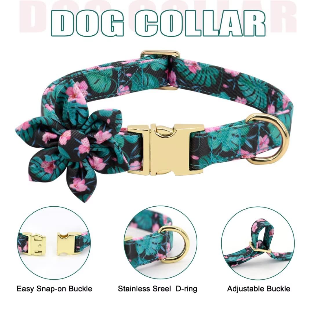 Beirui Animal Harness in XS:Fit 6-12 lbs, Green