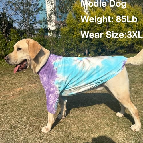 PriPre Pet Apparel in Medium, .Blue Purple