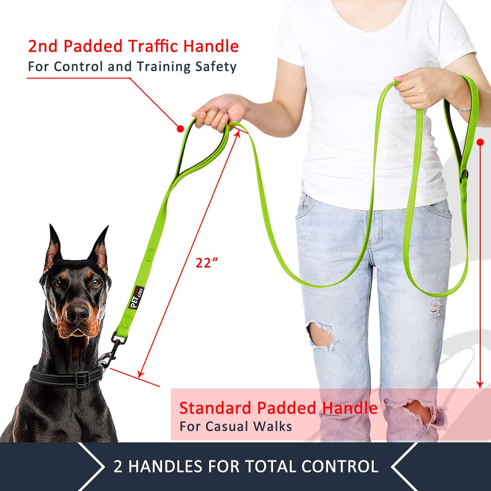PLUTUS PET Leash in 6 FT, Green