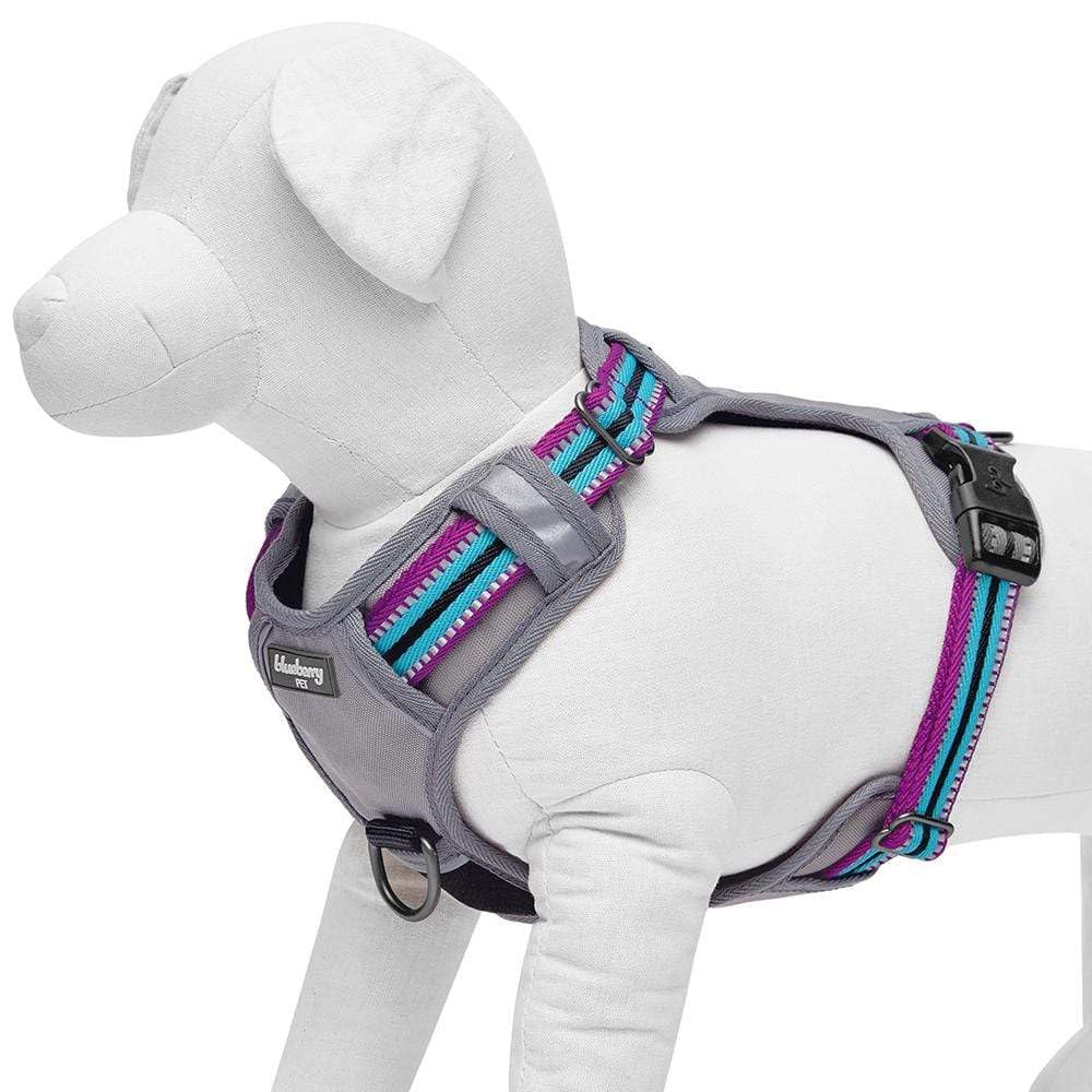 Blueberry Pet Animal Harness in Small, Violet and Celeste