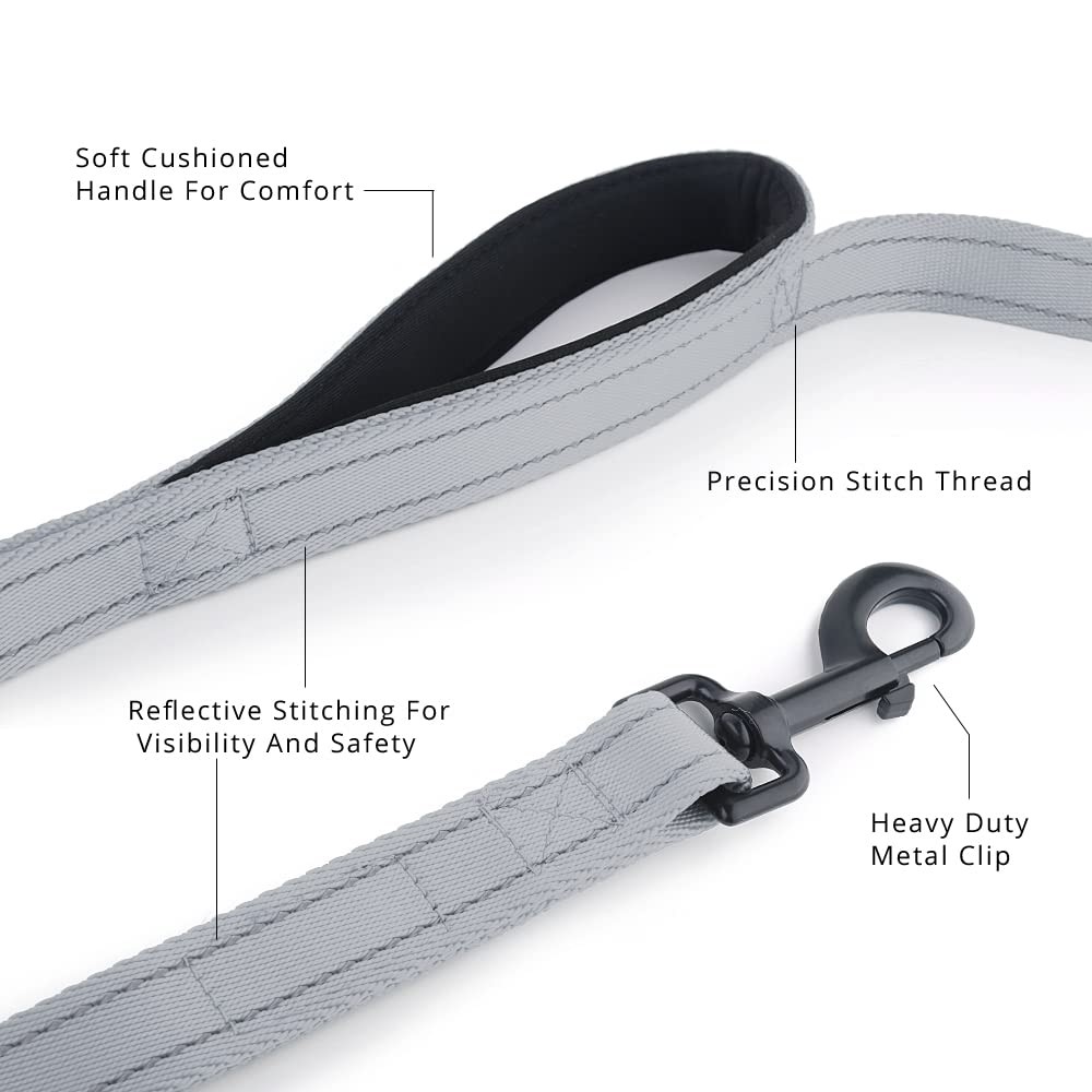 PLUTUS PET Leash in 4 FT, Gray