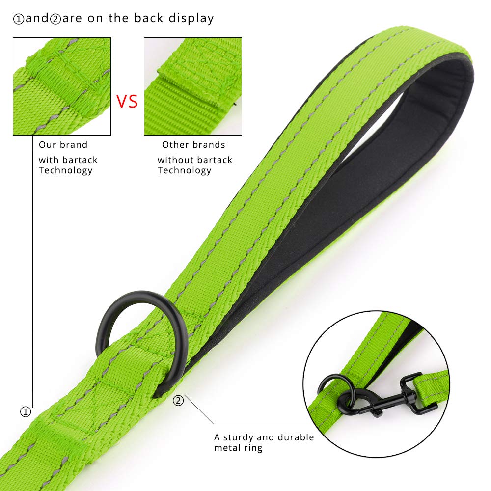 PLUTUS PET Leash in 4 FT, Green