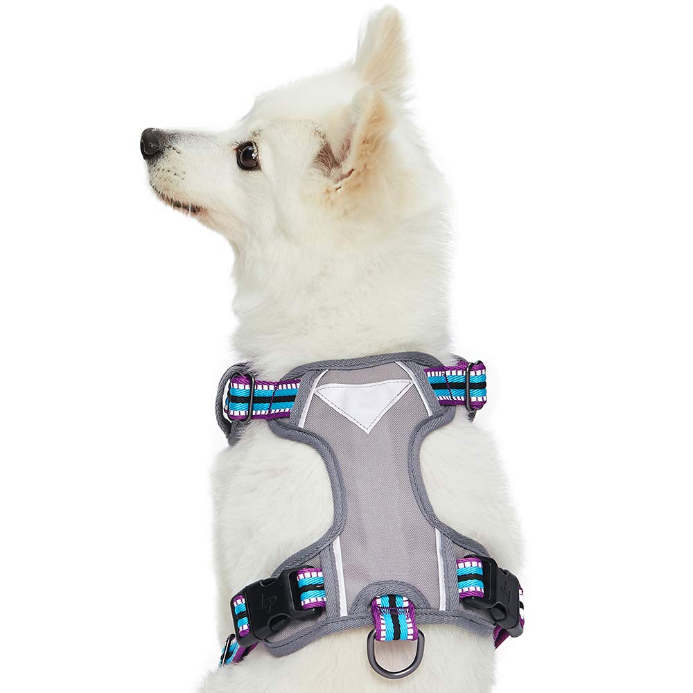 Blueberry Pet Animal Harness in Small, Violet and Celeste