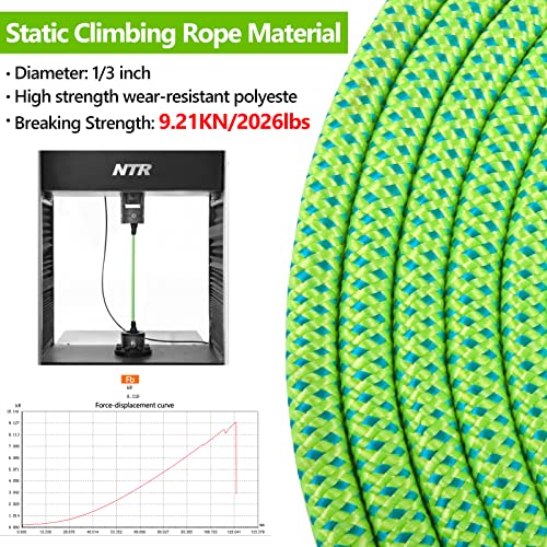 NTR Leash in 15ft*3/8", Green/Blue