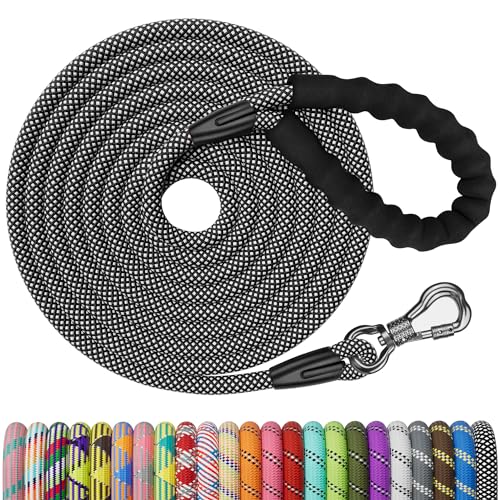 NTR Leash in 10ft*1/3", Black