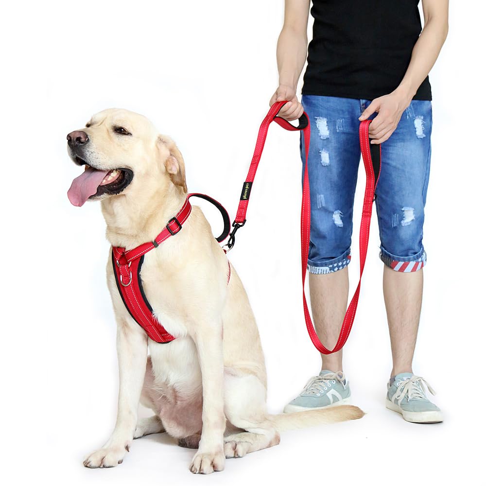 PLUTUS PET Leash in 6 FT, Red