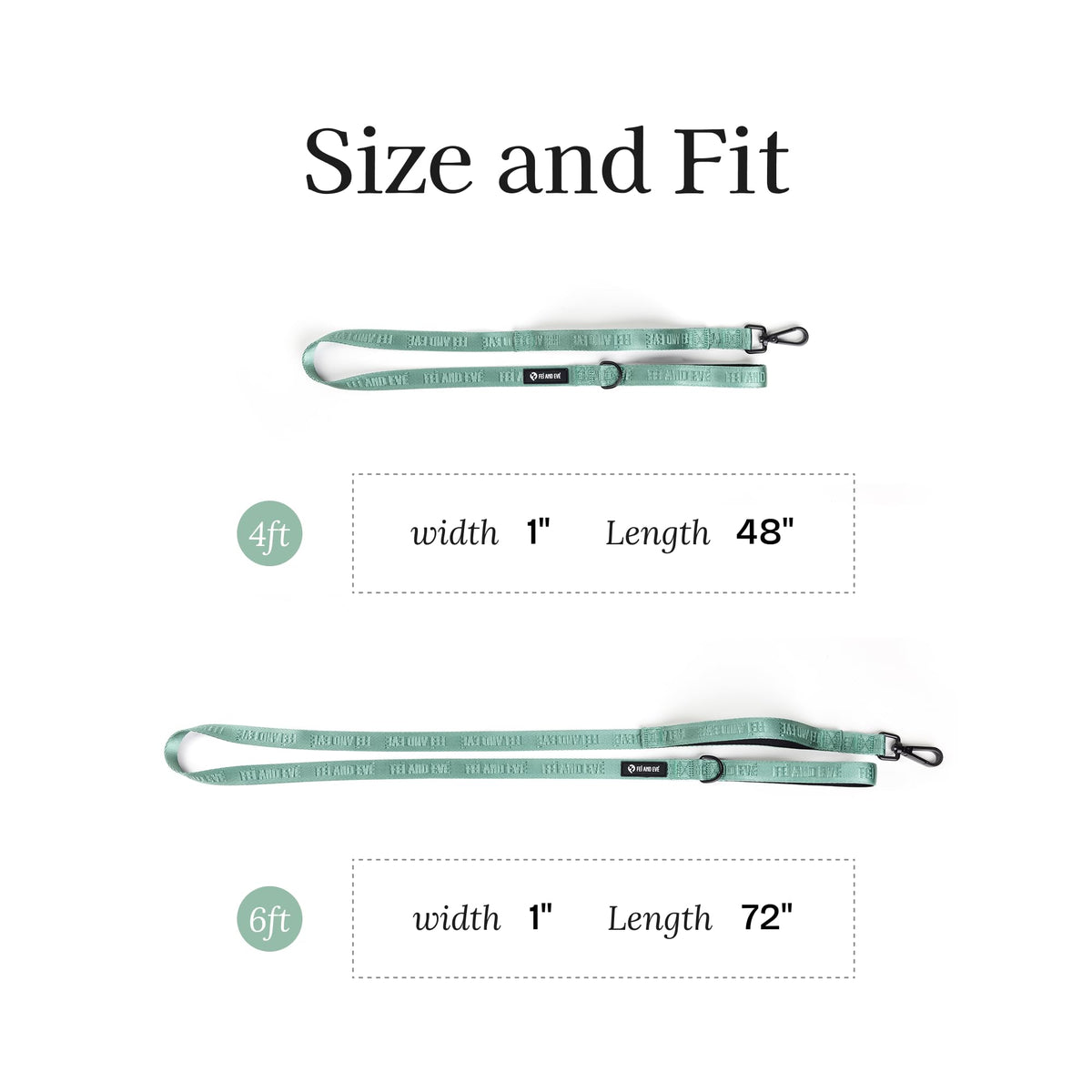 Fei and Eve Leash in 4FT, Glacier Green
