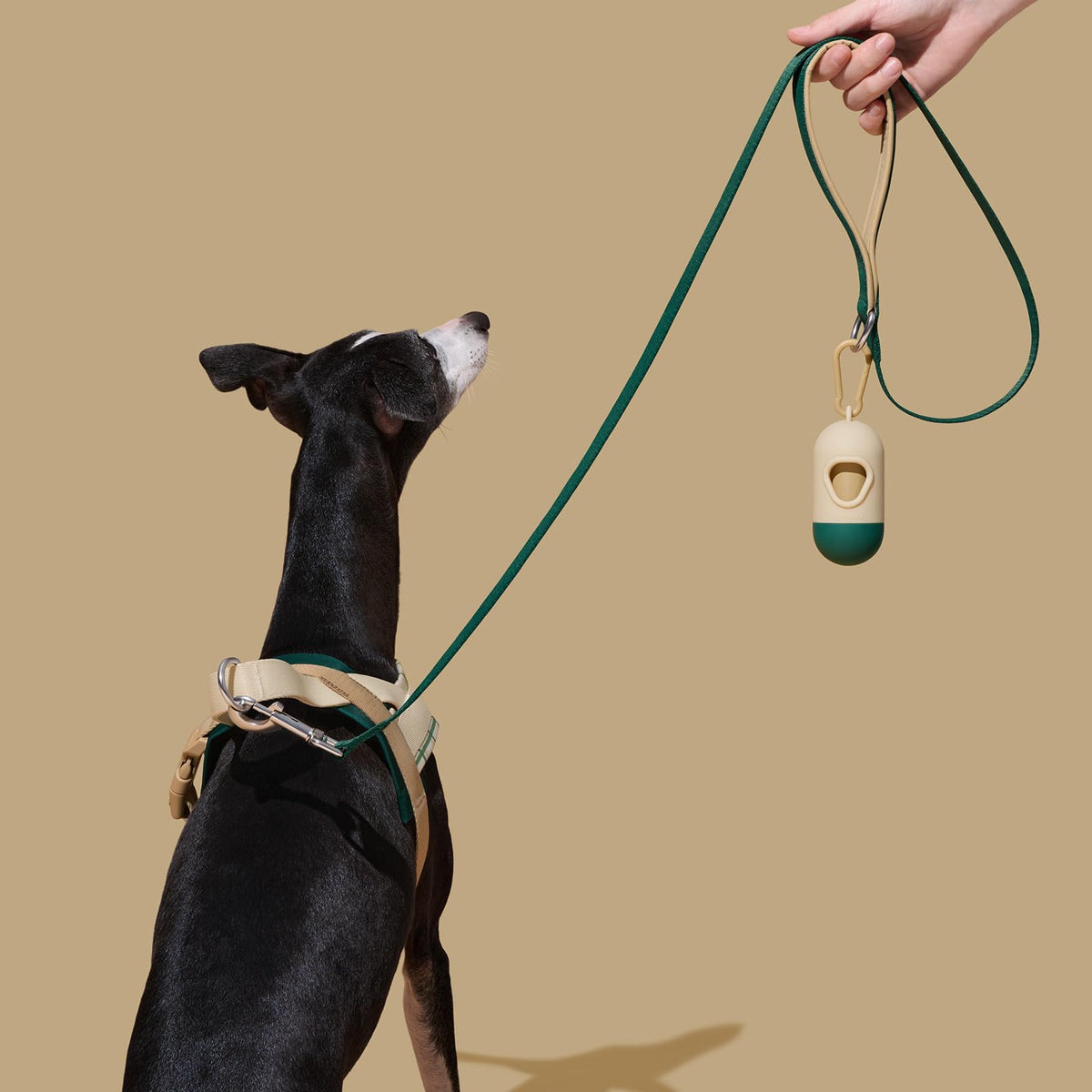 VETRESKA Animal Harness in XS(Chest: 16.9"-22"), Santal Forest