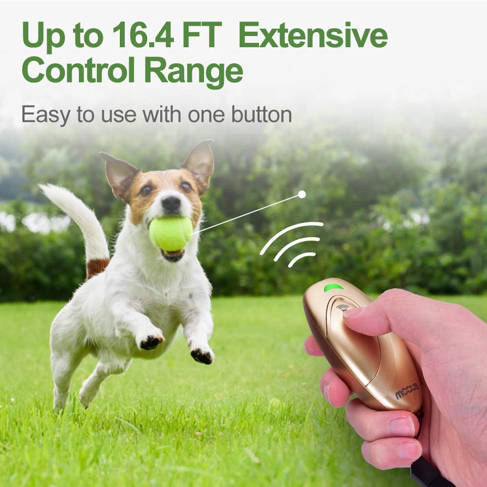MODUS Pet Supplies in Gold Barks No More Dog Training Tool