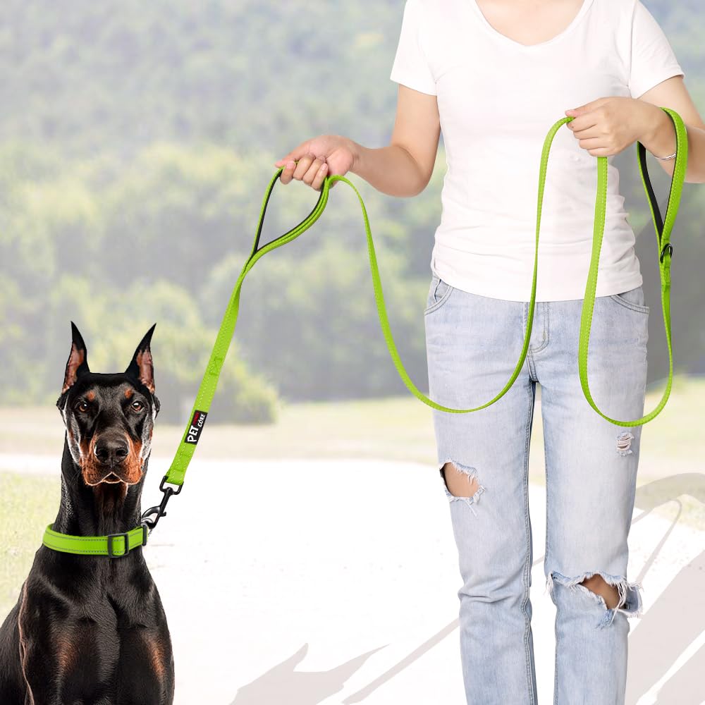 PLUTUS PET Leash in 4 FT, Green