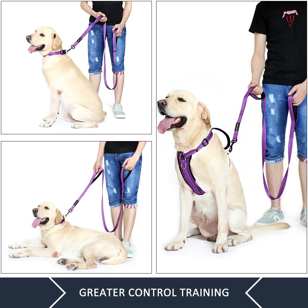 PLUTUS PET Leash in 6 FT, Purple