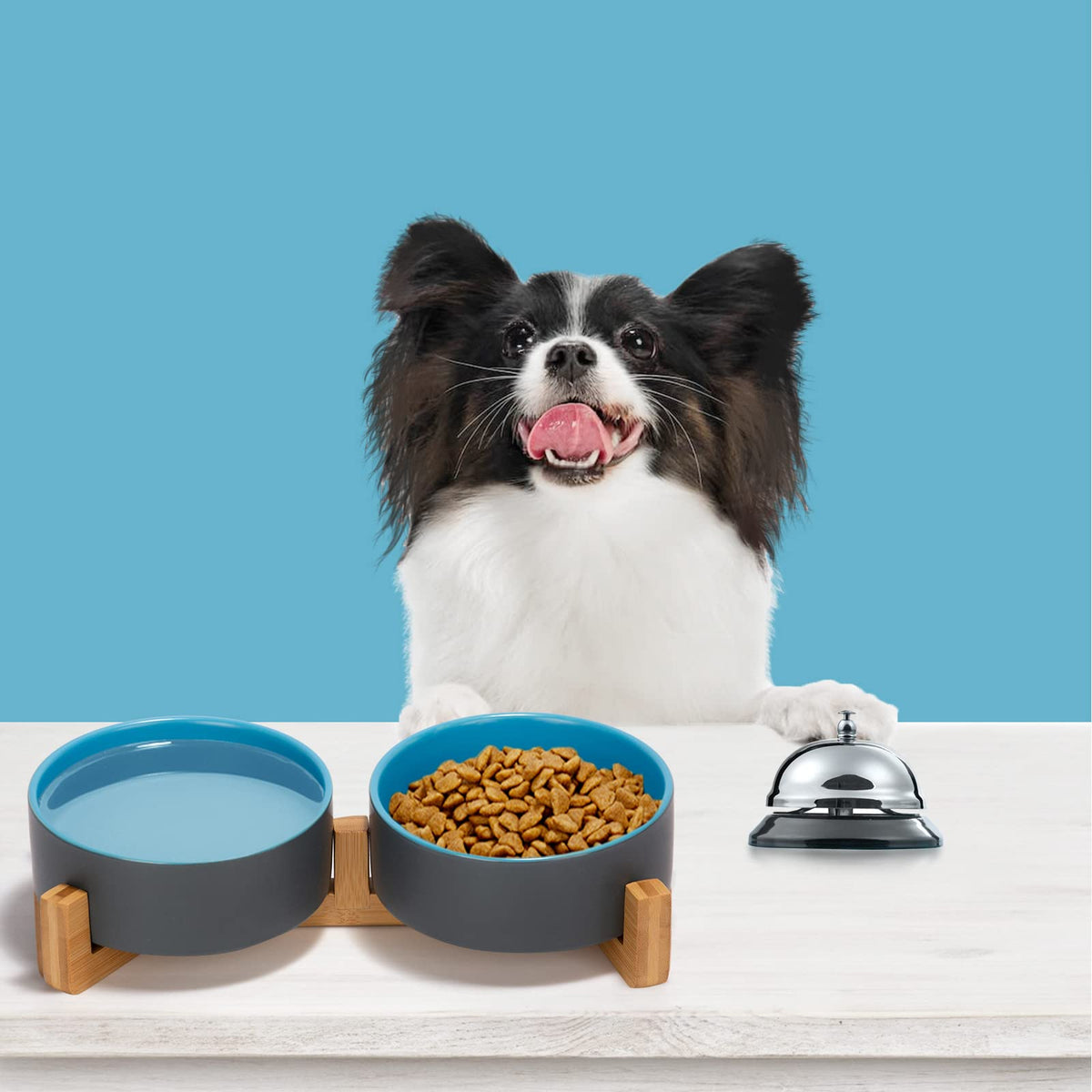 SPUNKYJUNKY Pet Feeder in 1.7 cups, Blue-Grey × 2