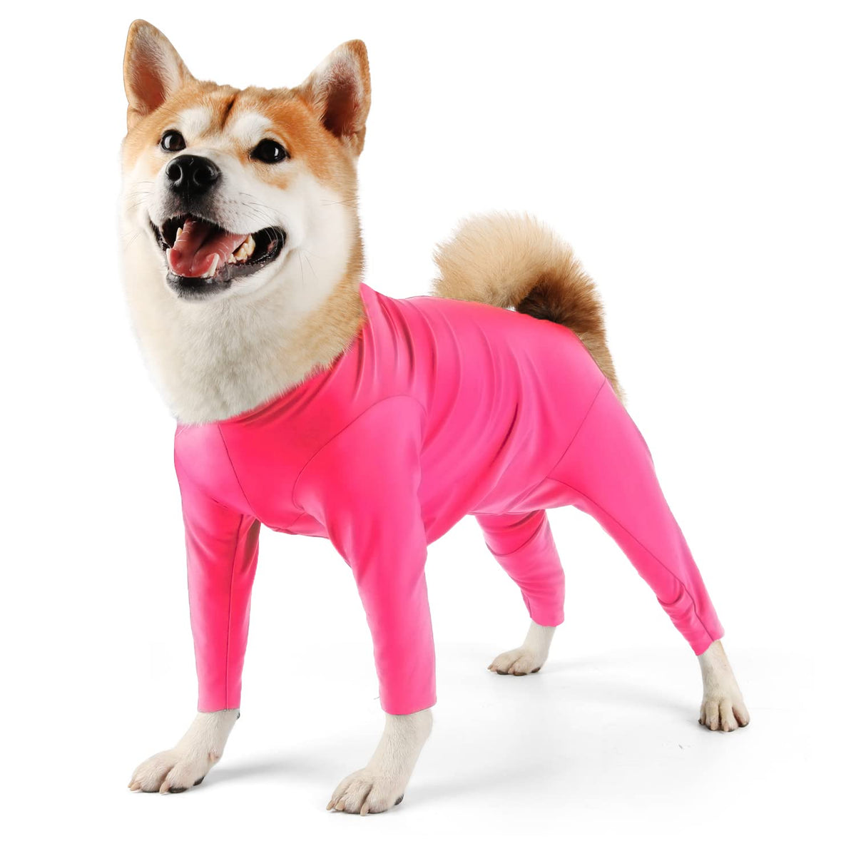 Etdane Pet Apparel in X-Small, Pink