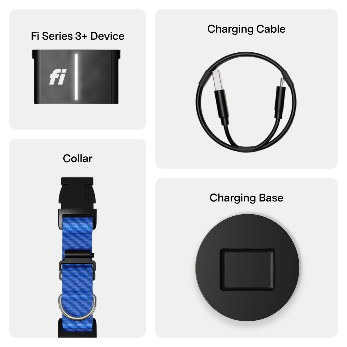 Fi Location Tracker in X-Small, Blue