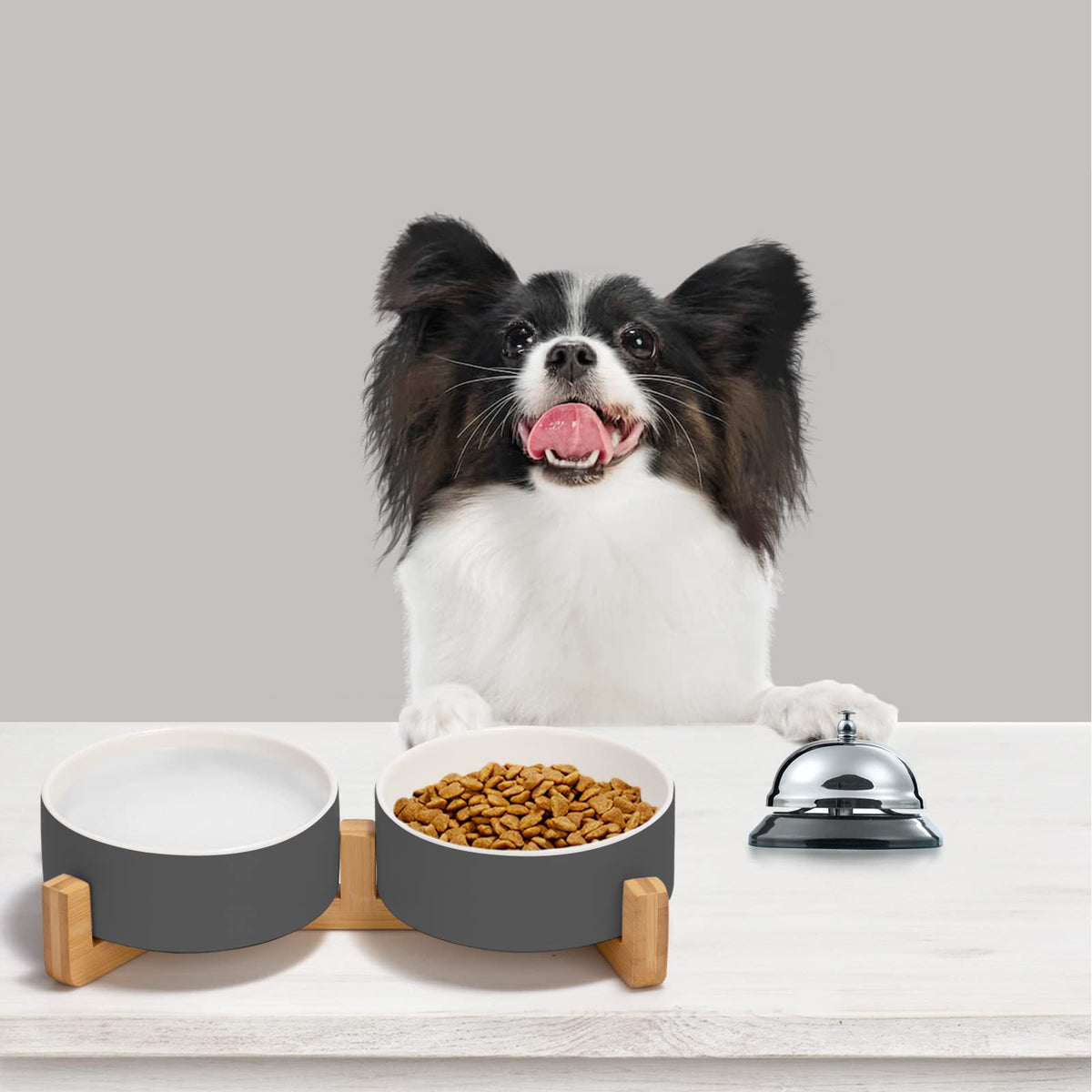 SPUNKYJUNKY Pet Feeder in 1.7 cups, White-Grey × 2