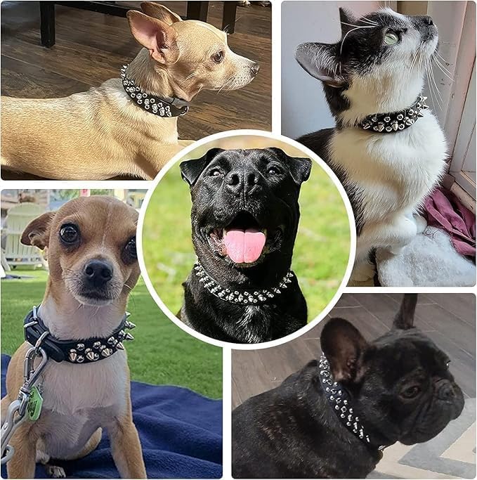 PSPORT Animal Collar in XXS(Neck 6-8"), Black