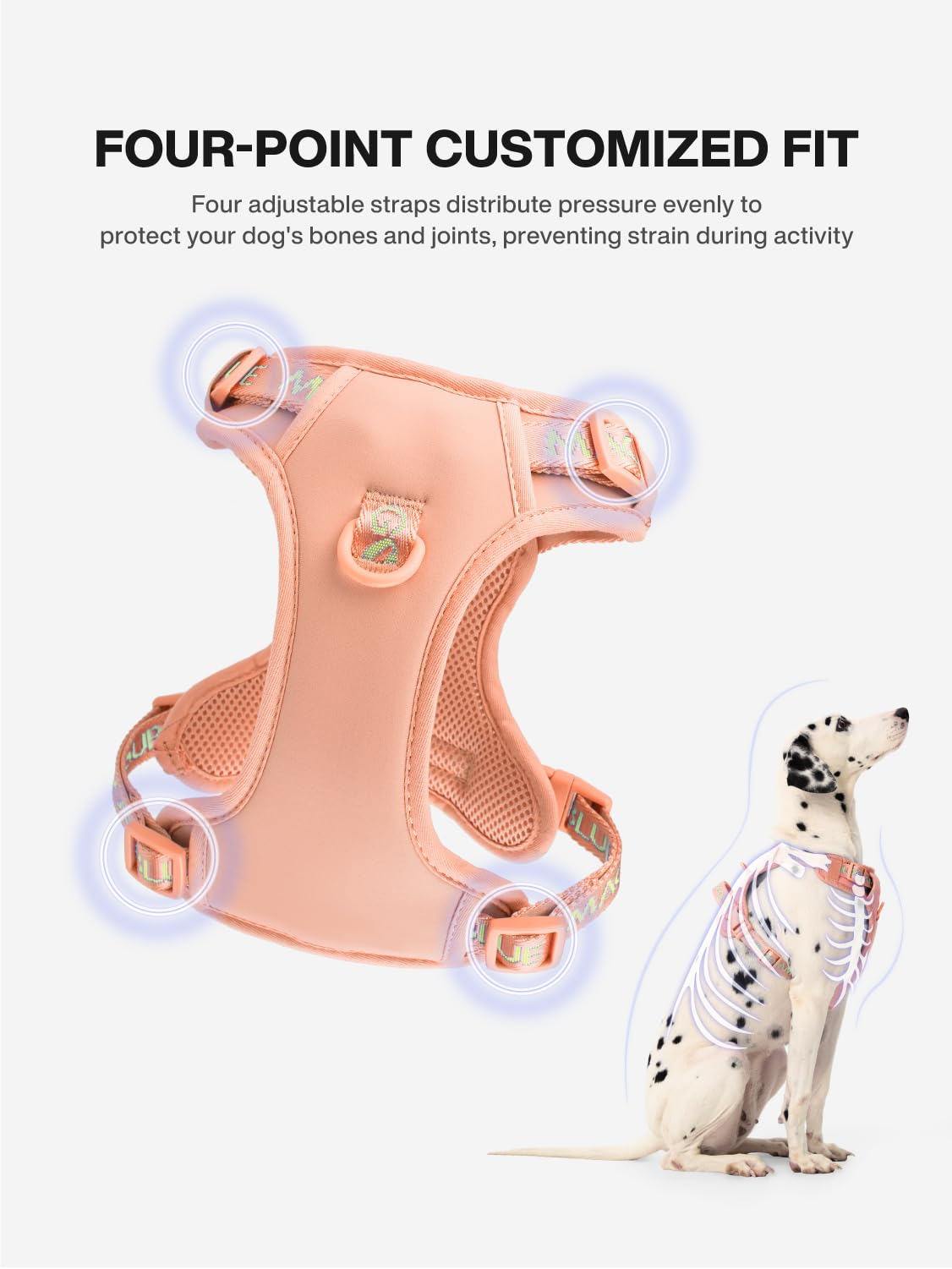 Maogoublue Animal Harness in S(Neck:11.8-17.7",Chest:17.7-21.6"), Dune Beige