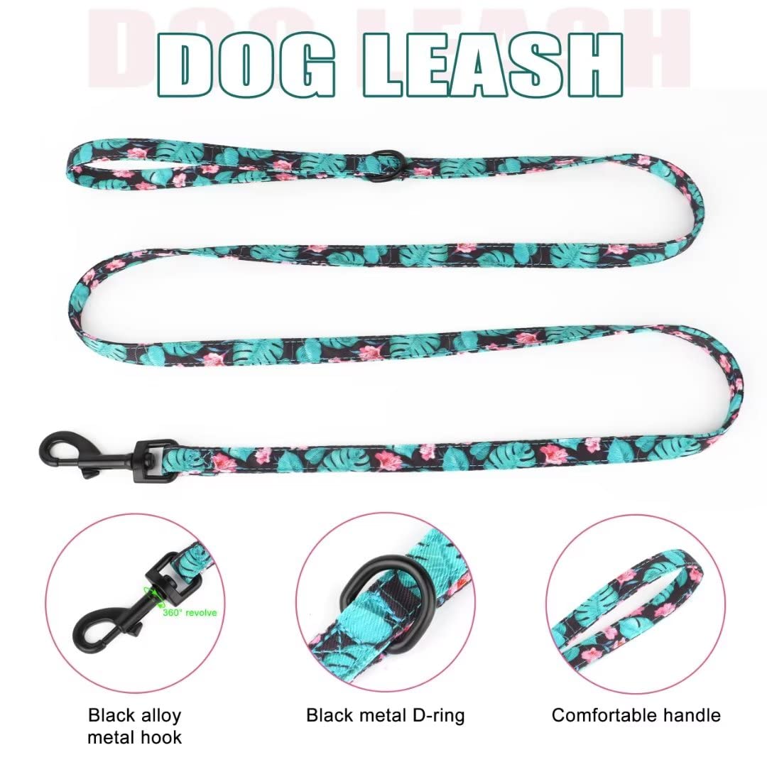 Beirui Animal Harness in XXS:Fit 2-6 lbs, Blue