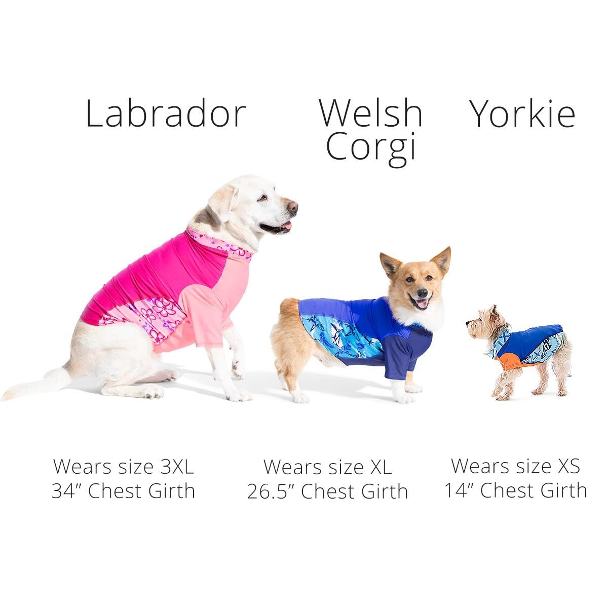 PlayaPup Pet Apparel in XX-Small, Bianco