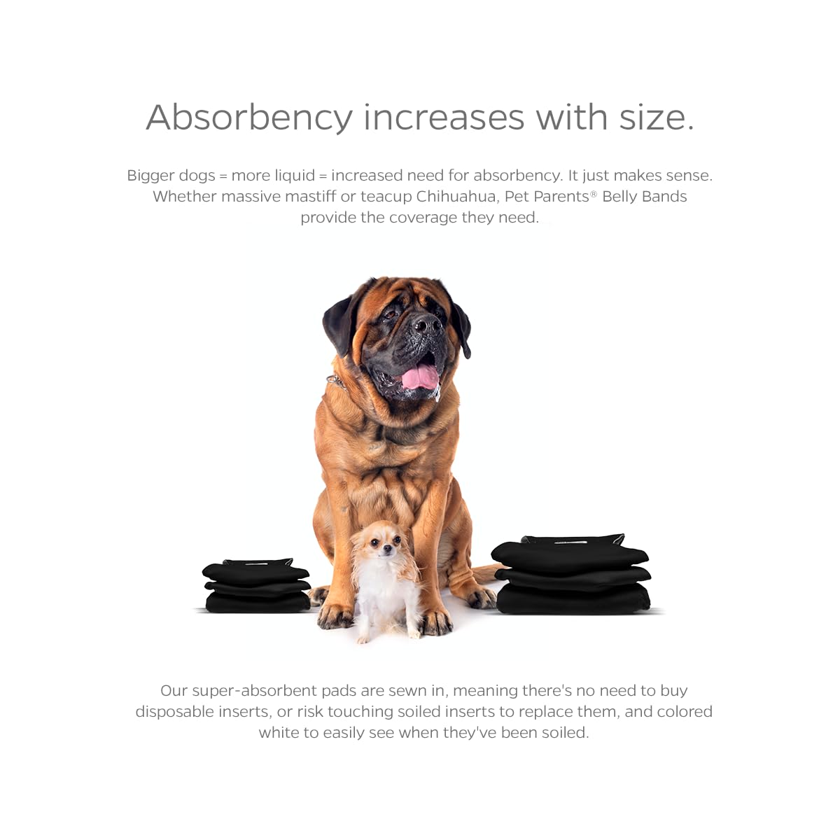 Pet Parents Animal Incontinence Protector in X-Small (11-13"), Black